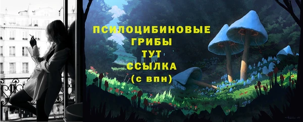 2c-b Абаза