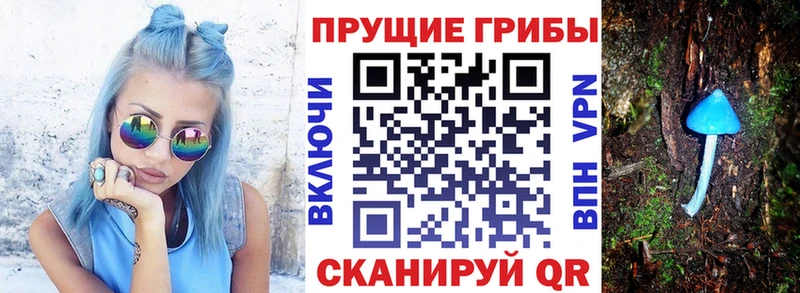 Псилоцибиновые грибы прущие грибы  shop клад  Агидель  kraken зеркало 